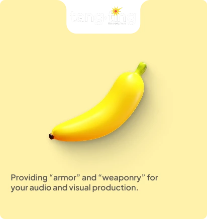 metri tang ting services